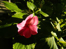 DSCN9957