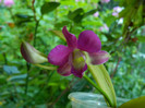 DSCN9974