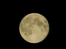 DSCN9994