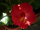 P1160611