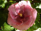 P1160614