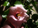 P1160626