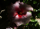 P1160627