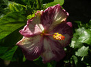 P1160629