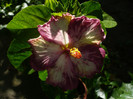 P1160631