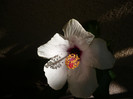 P1160633