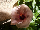 P1160637
