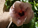 P1160638