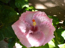 P1160640