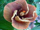 P1160647