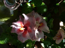 P1160658