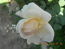 DSCN1785