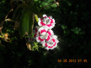 DSCN1789