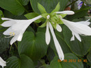 DSCN1790