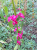 DSCN1791