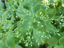 DSCN1793
