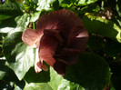P1160682