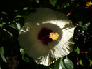 P1160690