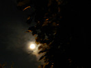DSCN0095