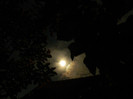 DSCN0100