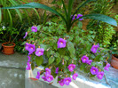 DSCN0109