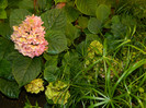 DSCN0117
