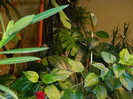 DSCN0120