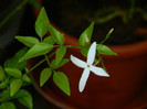 DSCN0121