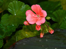 DSCN0122