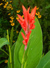 DSCN0124