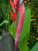 DSCN0125
