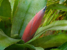 DSCN0128