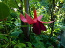 DSCN0136