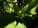 DSCN0143