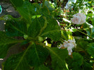 DSCN0151