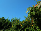 DSCN0153