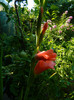DSCN0166
