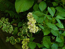 DSCN0172