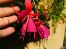 DSCN0174