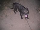tyson