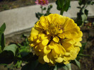 P1010159