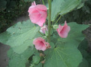 DSCN4269