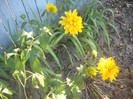 DSCN4273