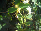 DSCN4285