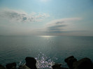 DSCN9216