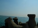 DSCN9226