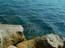 DSCN9290