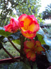 DSC08730