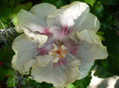 P1160748