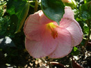 P1160750